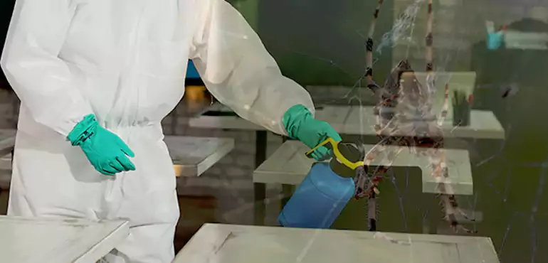 Why Buyers Still Want Homes With Pest Infestations in Bakersfield, CA?