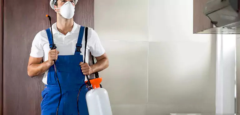 Why Bakersfield Homeowners Choose Us When Pests Make Selling Difficult